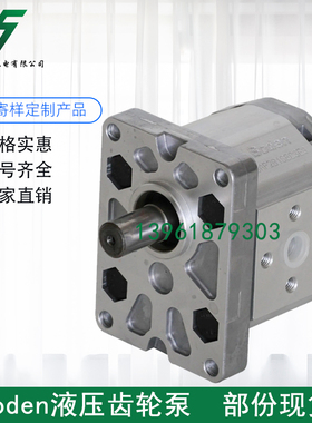 Boden油泵BHP2.5A1D40C1F1  BHP2.5A1D45C1F1 BHP2.5A1D36C1F1