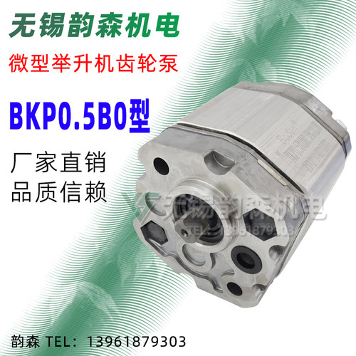 液压电动叉车齿轮泵Boden品牌