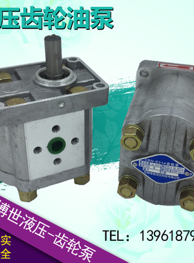 无锡博世液压CBN-F306/F310/F314/F316/F318/F320/F325齿轮泵油泵