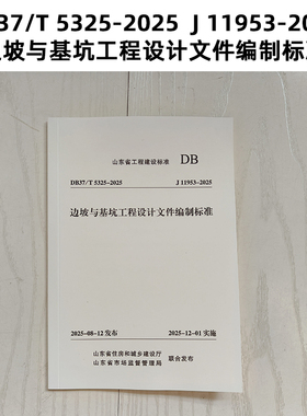 山东标准 DB37/T 5325-2025  J11953-2025 边坡与基坑工程设计文件编制标准  Z