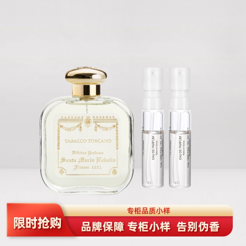 SMN圣玛利亚修道院小苍兰橙