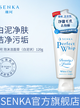 SENKA珊珂 泡沫洁面膏（白泥状）120g