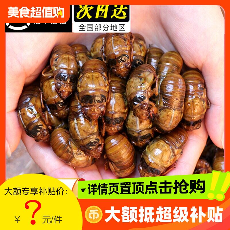 2026新鲜现抓野生知了猴爬拉猴龟爬叉解拉猴当季金蝉结了冷冻瓶装