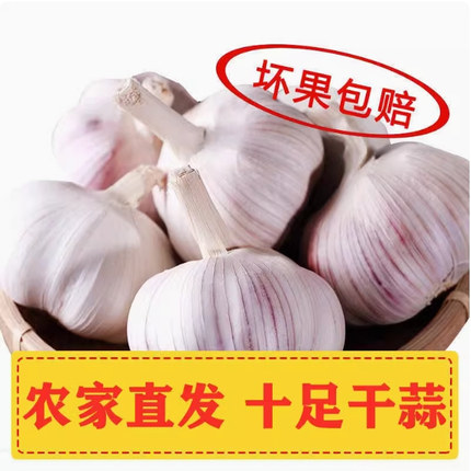 紫白大蒜干蒜净9斤新干蒜大蒜头蒜蓉凉拌安徽河南农产品特级批发