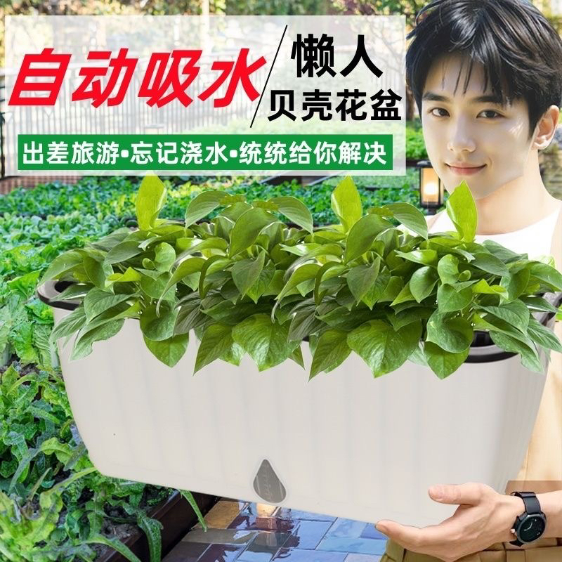 自动吸水花盆种菜种花种植箱家庭阳台懒人花槽塑料种菜盆绿萝盆栽