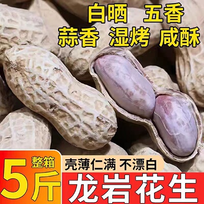龙岩花生白晒福建闽西特产带壳蒜香水煮湿烤咸酥炒货坚果追剧零食