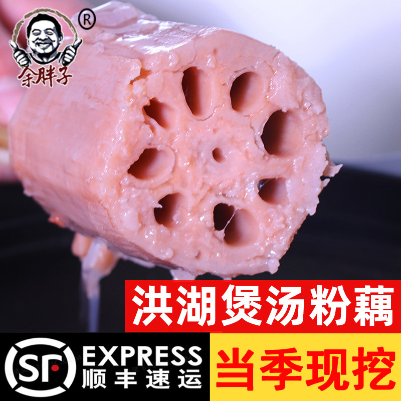 余胖子洪湖粉藕煲汤莲藕新鲜现挖湖北特产炖汤九孔藕节日礼品送礼