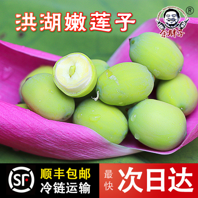 湖北新鲜嫩莲子摘现剥生2025