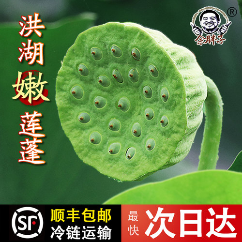 余胖子洪湖莲蓬新鲜生吃水果孕妇