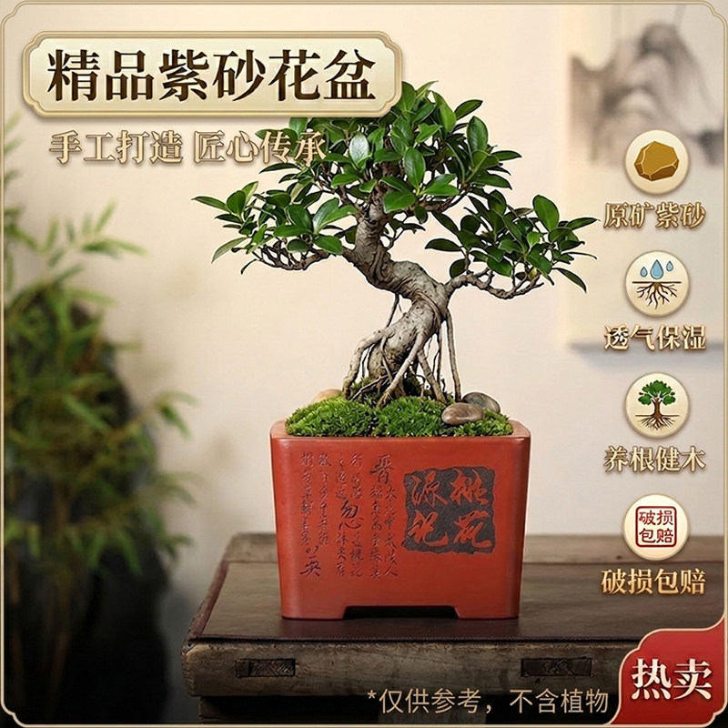宜兴紫砂四方盆景盆简约透气高颜值兰花君子兰家用陶瓷四方形花盆