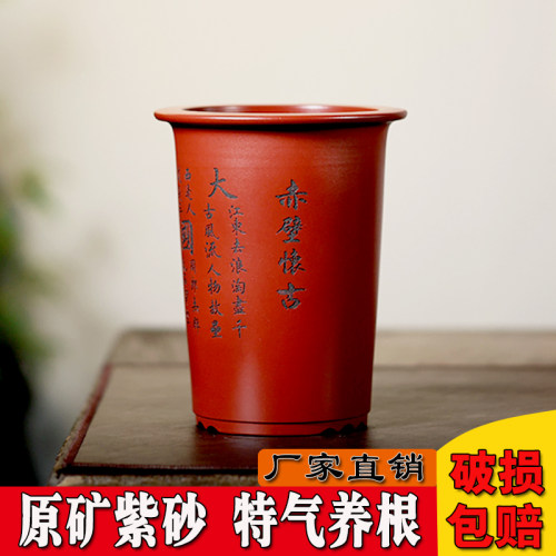 紫砂室内花卉兰花君子兰盆