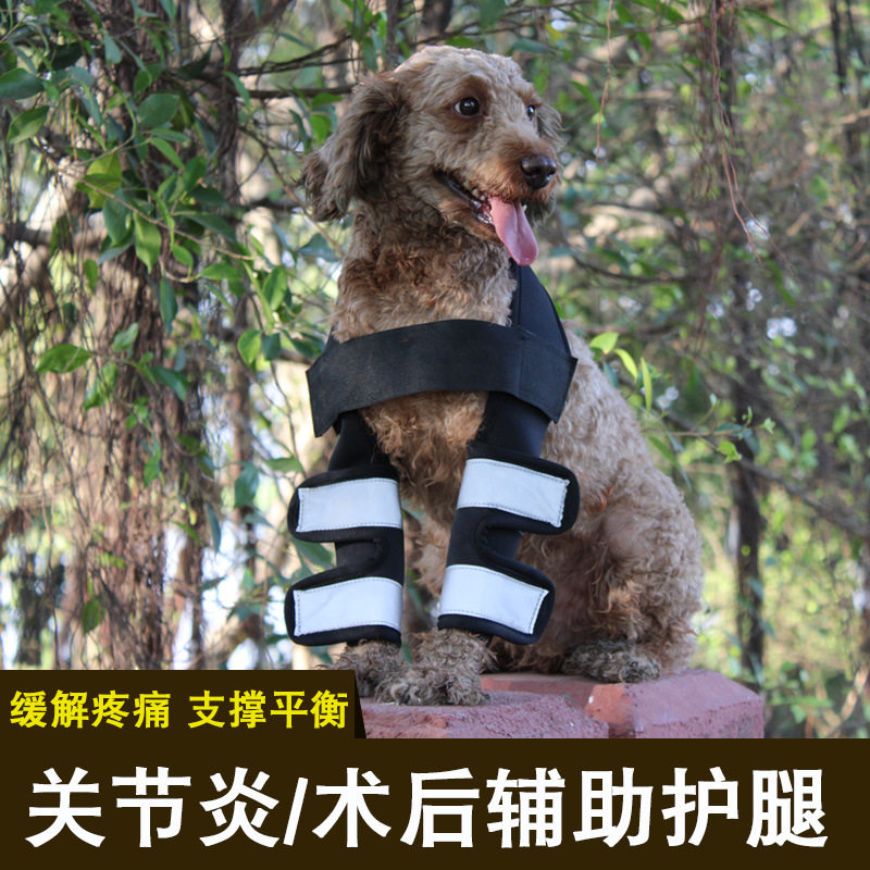 狗狗护腿宠物用品关节炎术后夜光护膝金毛泰迪犬腿部受伤辅助带