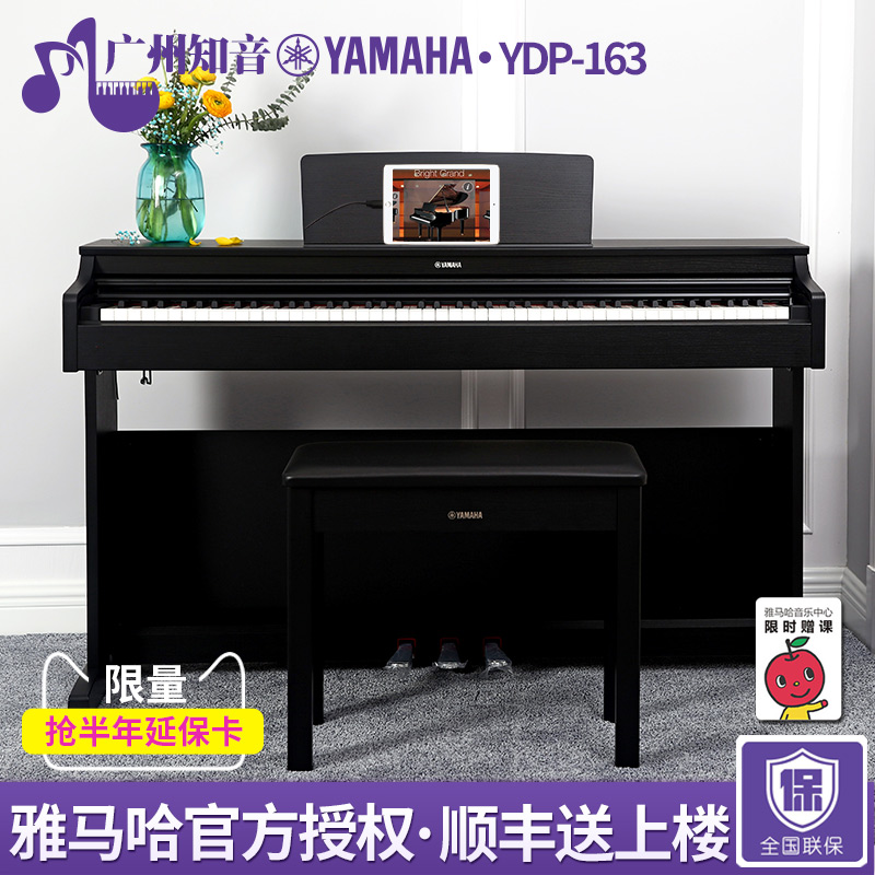 ÑÅÂí¹þµç¸ÖÇÙYDP-163µç×ÓÊýÂë¸ÖÇÙ88¼üÖØ´¸³ÉÈ˼ÒÓÃרҵÇÙydp163