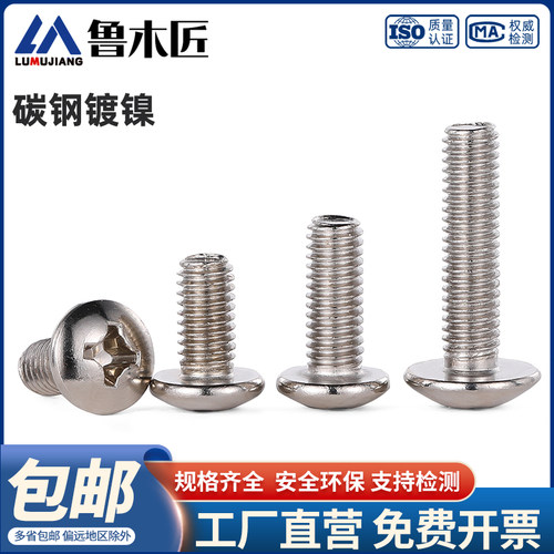 大扁头螺钉(镀镍) TM
