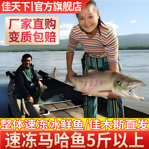新鲜大马哈鱼整条包邮