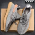 European Gray Orange