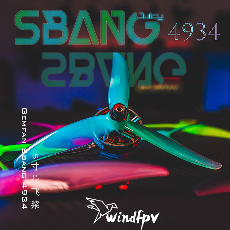 Sbang4934-3乾丰花飞桨