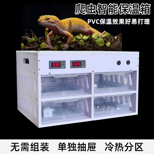 免组装爬虫守宫保温箱智能恒温