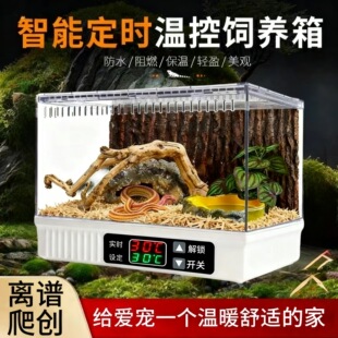 爬宠透明景观睫角守宫恒保温饲养箱蜥蜴保温箱蛇陆龟加热造景爬柜