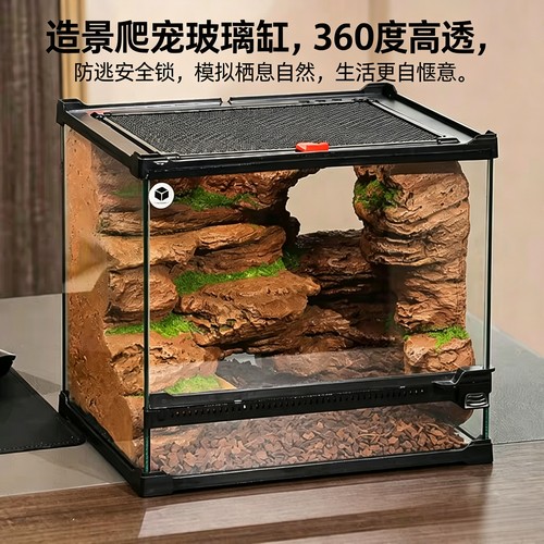 守宫饲养套新手入门懒人套餐