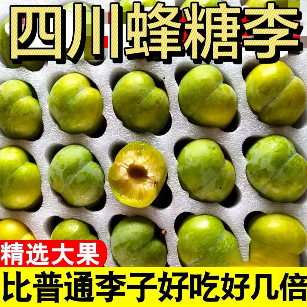 四川蜂糖李贵州六马新鲜四川李子