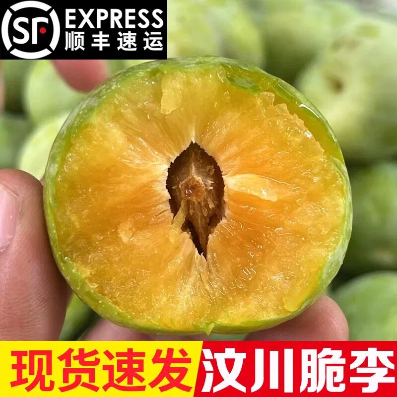 正宗四川汶川李子茂县青脆李脱骨