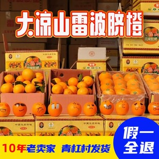 雷波脐橙官方店旗舰正宗产地四川大凉山特级橙20/10斤礼盒好香滴