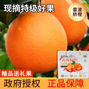 正宗四川大凉山雷波脐橙现摘现发基地直发10斤20斤5斤精品礼盒装