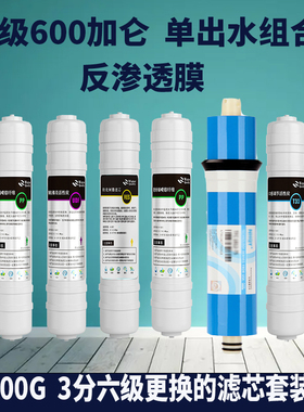 600G DIY6级滤芯组合 PP+UDF+RES+RO+T33