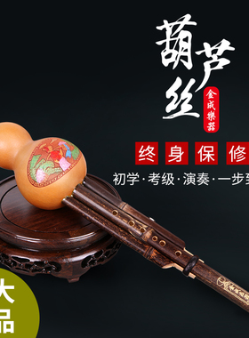 云南葫芦丝乐器专卖 C调降B调A/G/F/D调紫竹初学 学生包邮 送皮盒