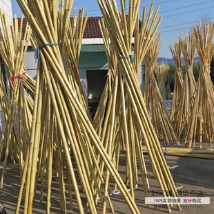室内外装修装饰竹竿 防腐竹子隔断吊顶 搭架毛竹旗杆户外篱笆围栏