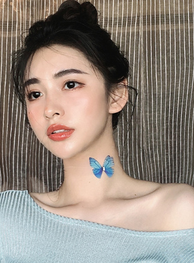 气质网纱蝴蝶显白项链