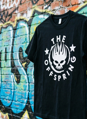 朋克乐队the offspring 摇滚复古vintage圆领纯棉短袖T恤男女tee