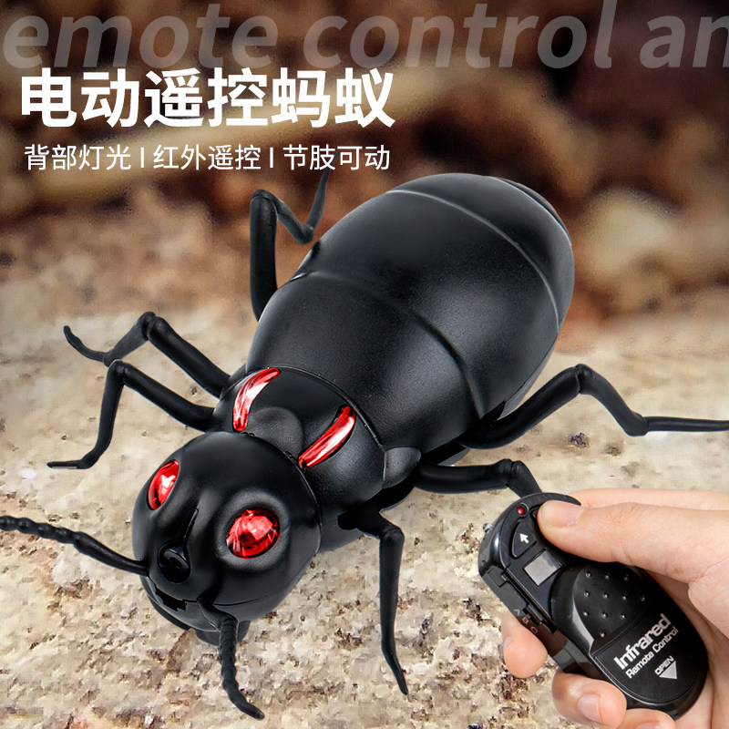 电动玩具遥控蚂蚁仿真会走