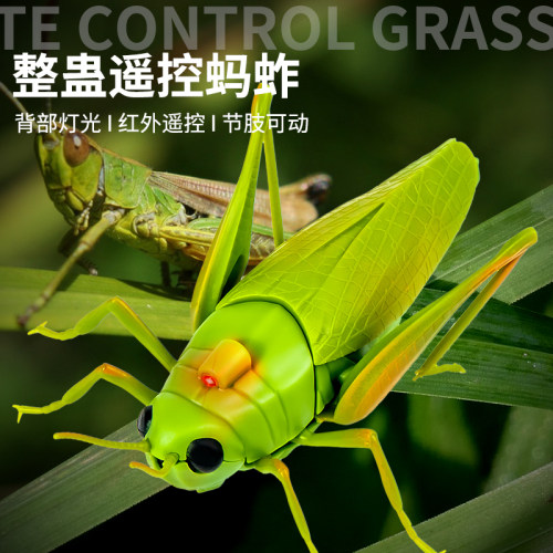 遥控蚂蚱电动玩具小男孩女孩