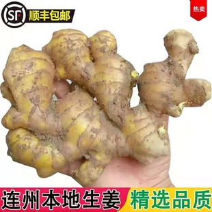 有机小黄姜农家嫩生姜新鲜现挖子姜老姜月子姜种子姜10斤连州特产