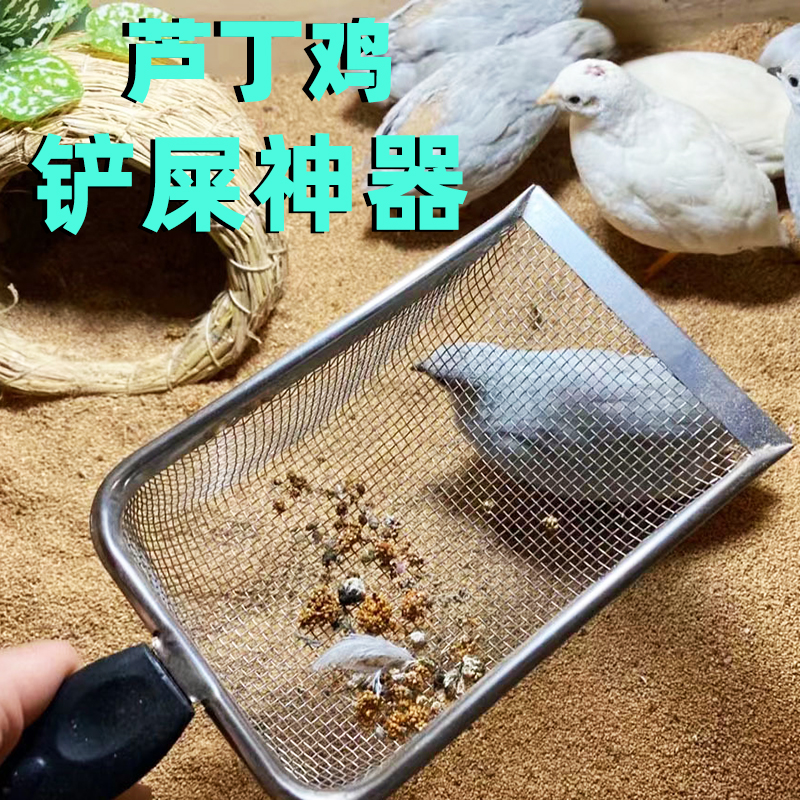 芦丁鸡铲屎神器膨润土猫砂铲细孔宠物铲屎工具核桃砂铲子铲屎长柄