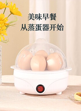 蒸蛋器自动断电家用多功能防干烧煮鸡蛋羹机迷你早餐神器2024新款