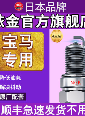 NGK火花塞宝马专用原厂适配宝马mini 3系5系3系x1 x3 x5 x6 铱金