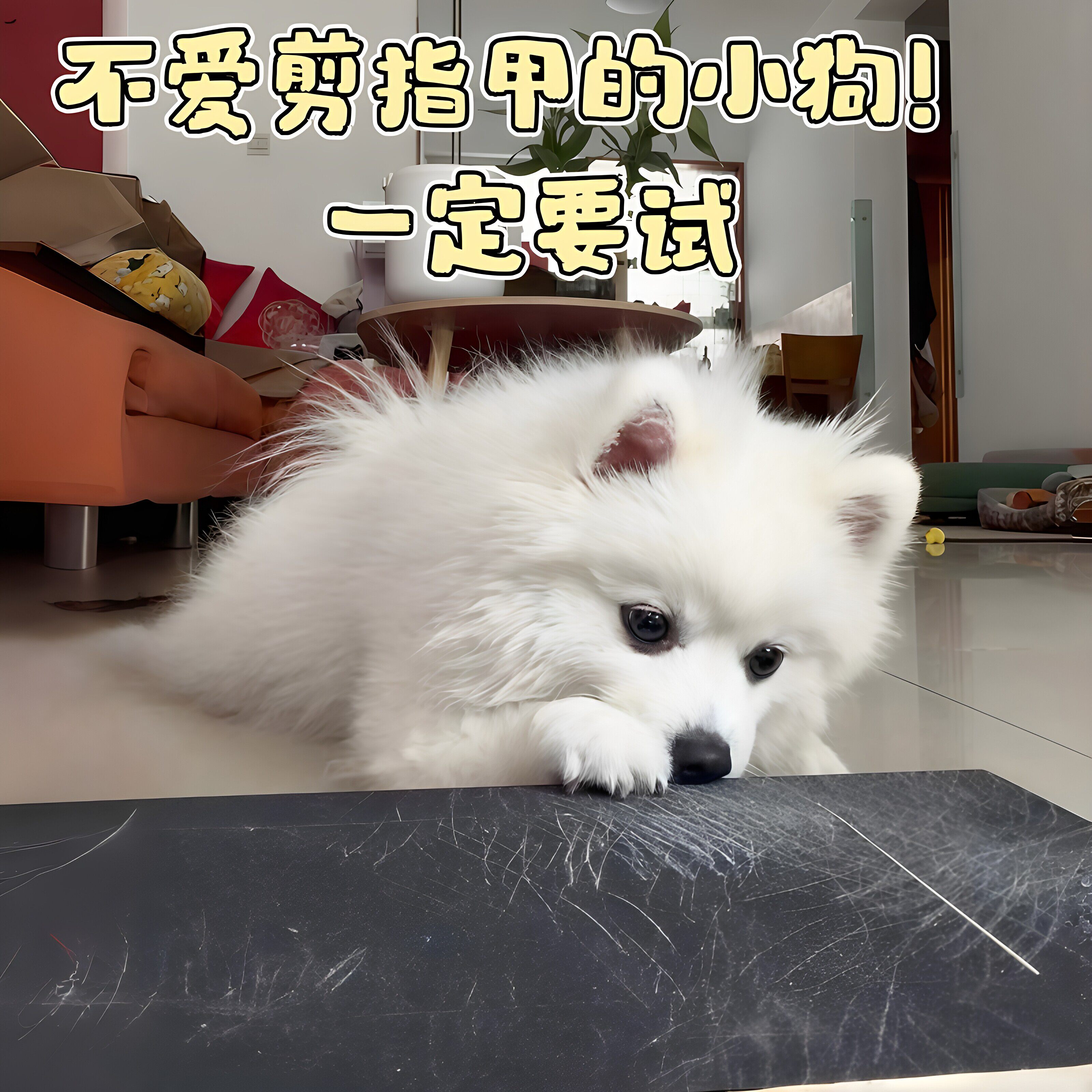 狗狗剪指甲神器!木制狗抓板可抽拉食物盒指甲刮板多功能款磨爪板