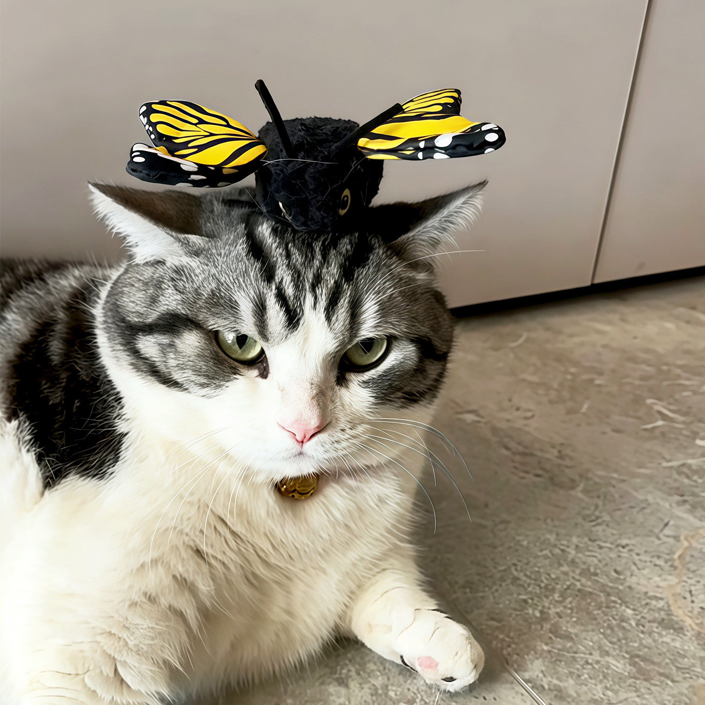 扑扑蝶猫咪玩具自动逗猫棒弹力绳彷真蝴蝶解闷自嗨神器消耗体力
