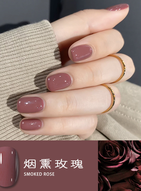 烟熏玫瑰甲油胶 干枯玫瑰 豆沙红棕 红褐色秋冬气质显白色 B6-4