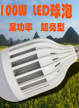 煜展鸟笼商铺led灯泡厂仓库