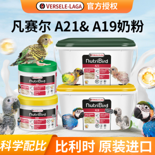 比利时凡赛尔a21鹦鹉低脂a19高脂玄凤牡丹雏鸟专用手养奶粉食粮