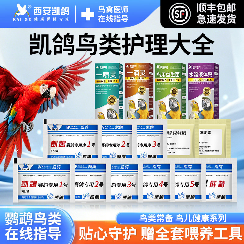 鹦鹉玄凤牡丹凯鸽1号2号3号5号鸟用电解质益生菌肝精常备专用药品