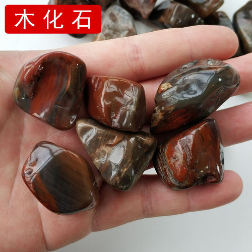 木化石 也叫做树化玉 是木变石的一种！红色木化石颜色以红褐色为主，尺寸：3-4cm,一件100克，有4-5颗！