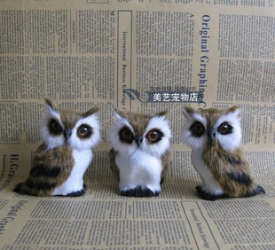 仿真猫头鹰工艺品鸟类标本摆件摄影道具静态模型家居摆设橱窗陈列