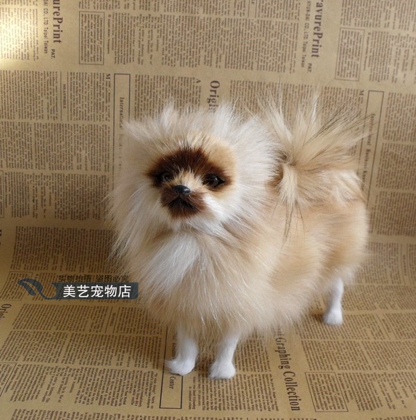 包邮真皮毛仿真动物博美犬造型可爱摆件名犬仿真名狗