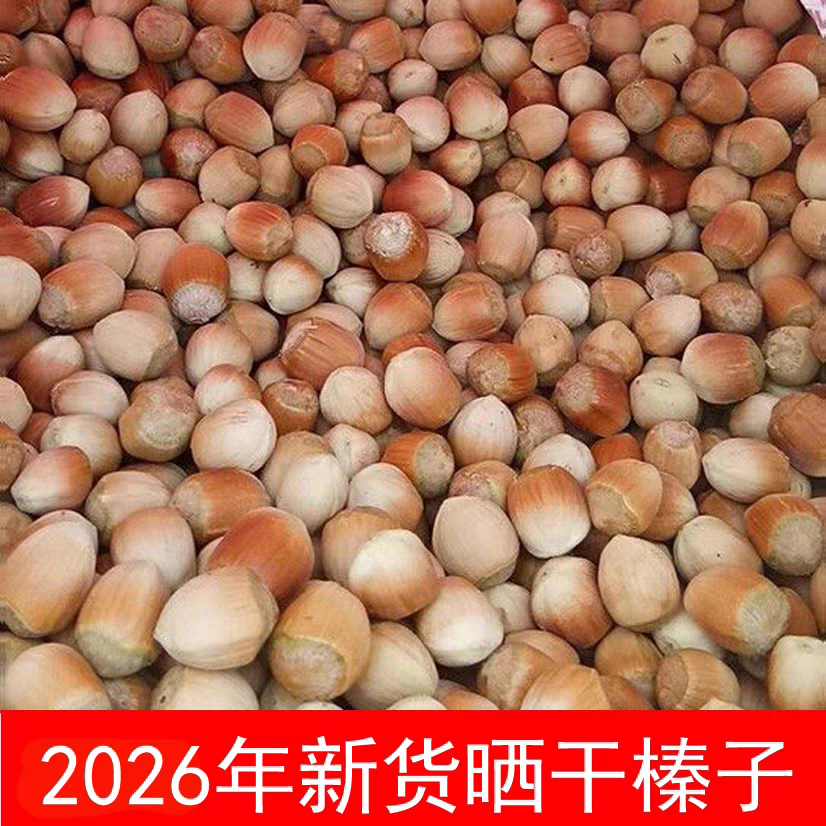 东北特产2026年新货大榛子生榛子桓仁新榛子晒干榛子应季零食坚果