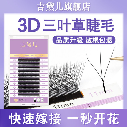 三叶草睫毛开花自然y型编织种植